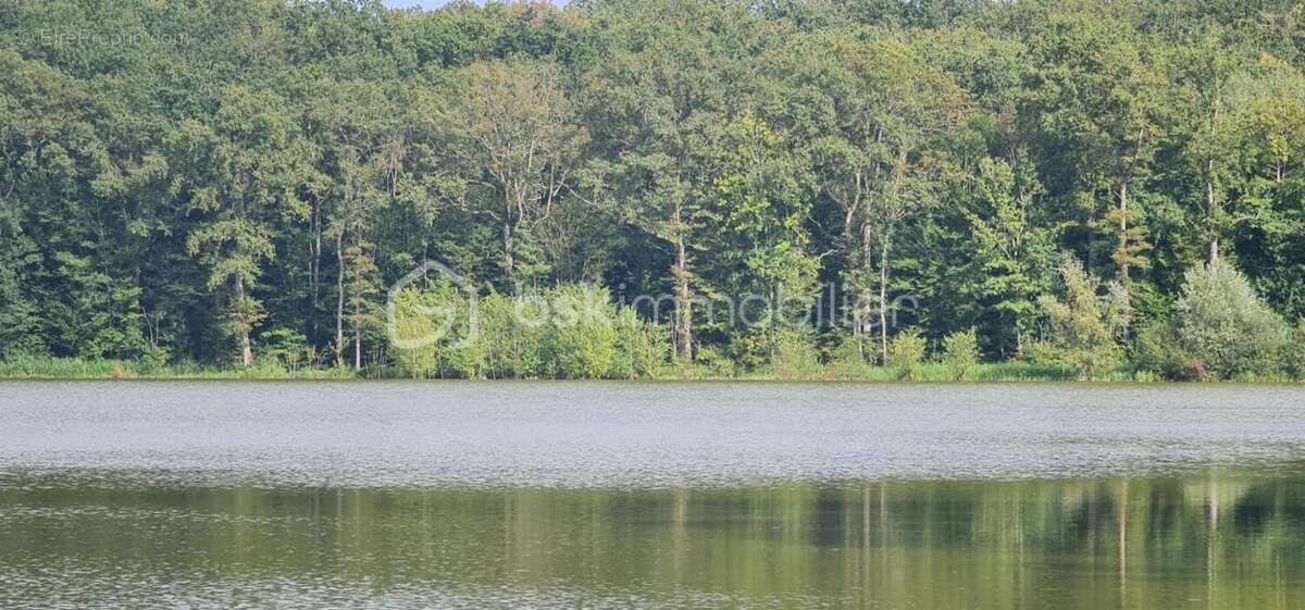 TERRAIN de 240 000 m² - photo 5