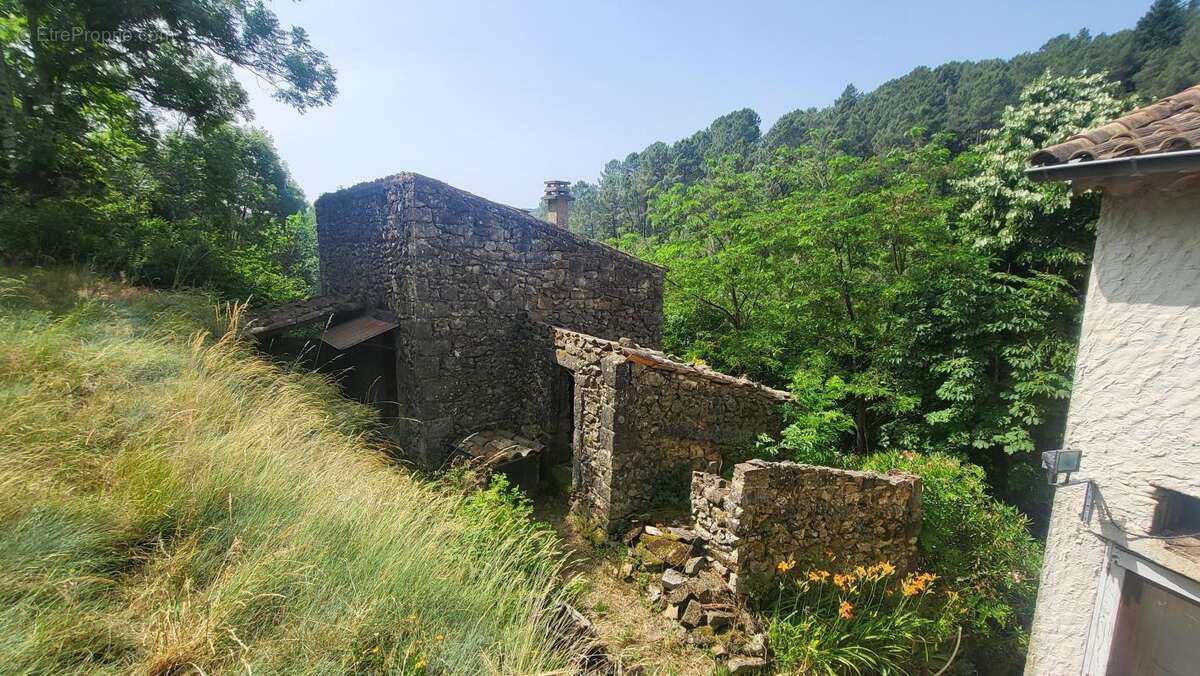 Mas avec dépendances et bergerie - photo 4