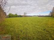 Terrain à SAINT-CHRISTOL-LES-ALES