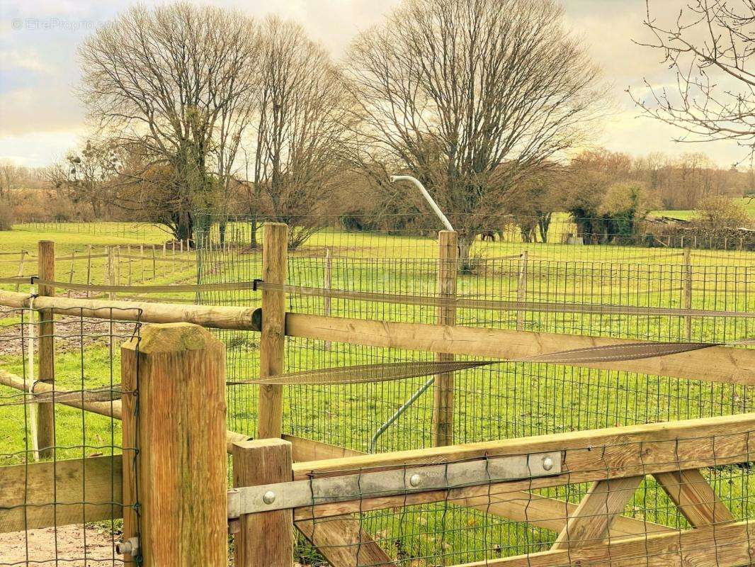 Maison à MORTAGNE-AU-PERCHE