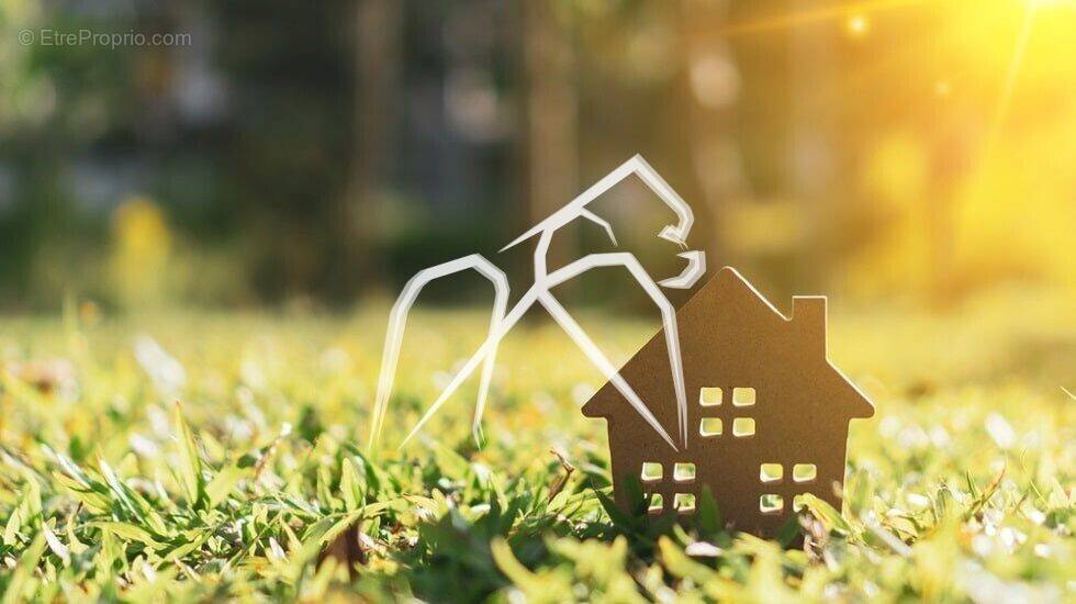 Terrain à BONSECOURS