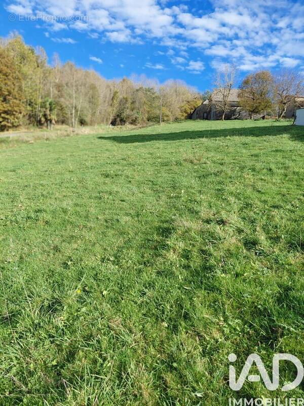 Photo 1 - Terrain à BARLEST