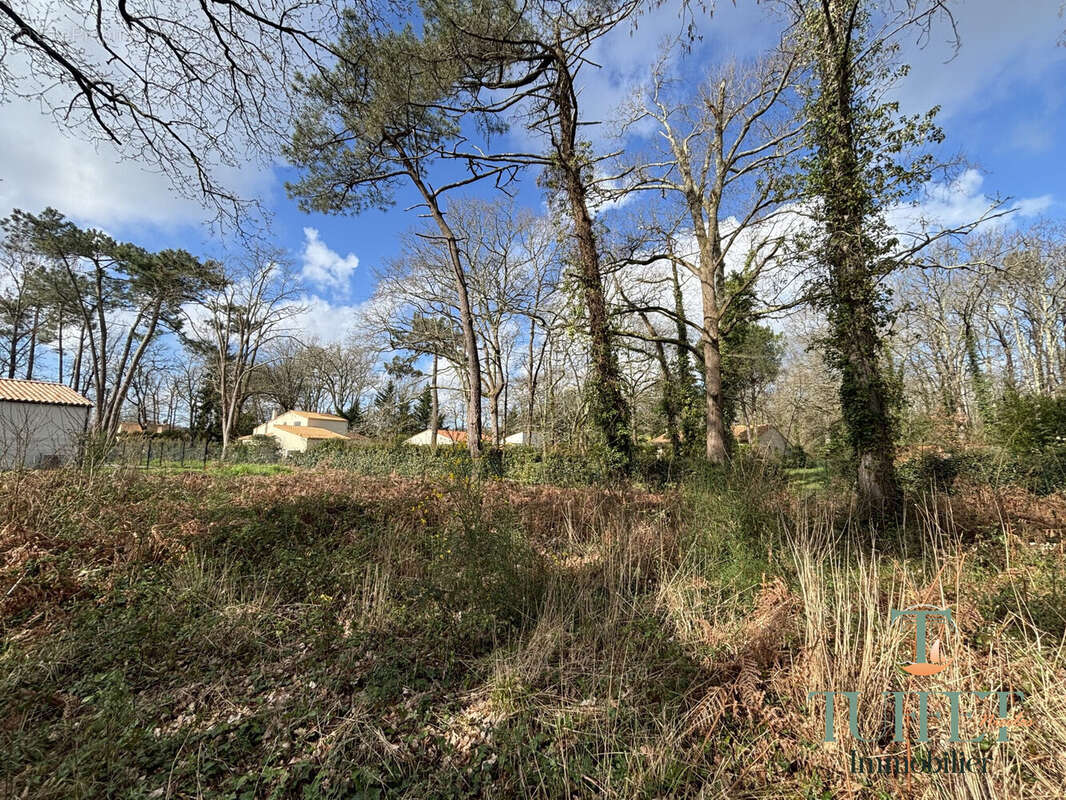 Terrain à LA TREMBLADE