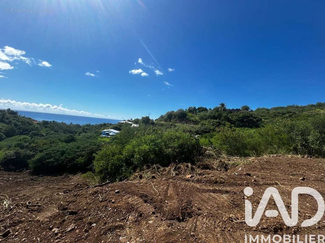 Photo 3 - Terrain à VIEUX-HABITANTS