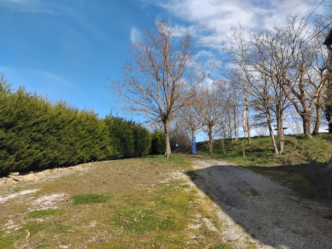 Castelnaudary: Grande propriété - ensemble immobilier de 3 maisons avec piscine et jardins - photo 21