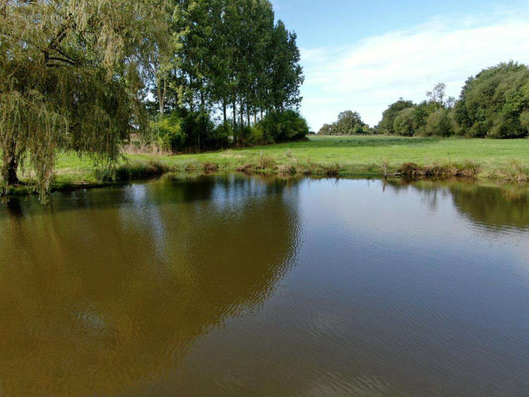 Terrain de loisir avec étang sur 2 ha - photo 6