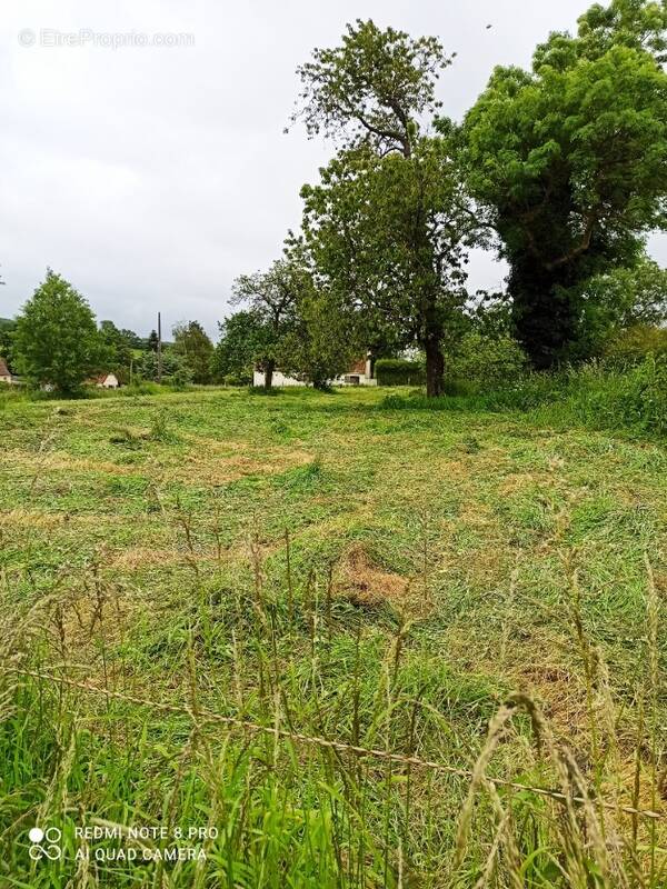 Terrain à SENINGHEM