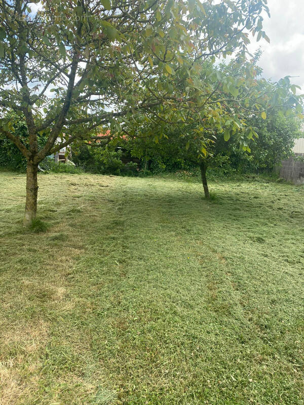 Terrain à BOURGNEUF-EN-RETZ