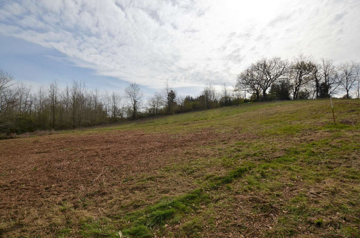 Terrain à MAULICHERES