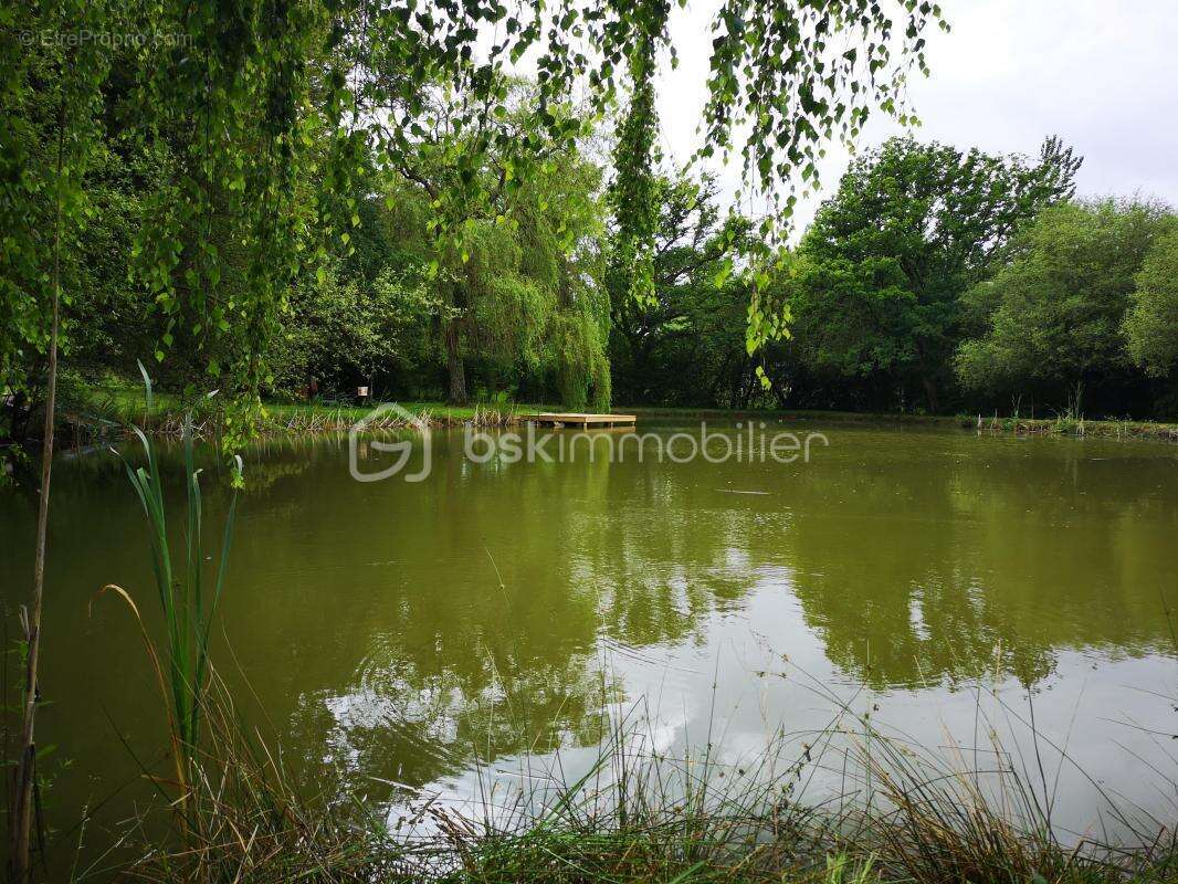 pavillon avec vie de plain pied avec terrain et plan d'eau ! - photo 17