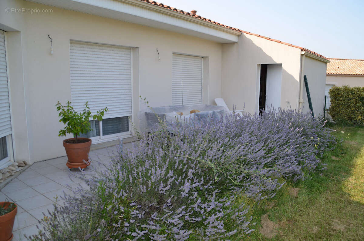 Maison à SAINTE-HERMINE