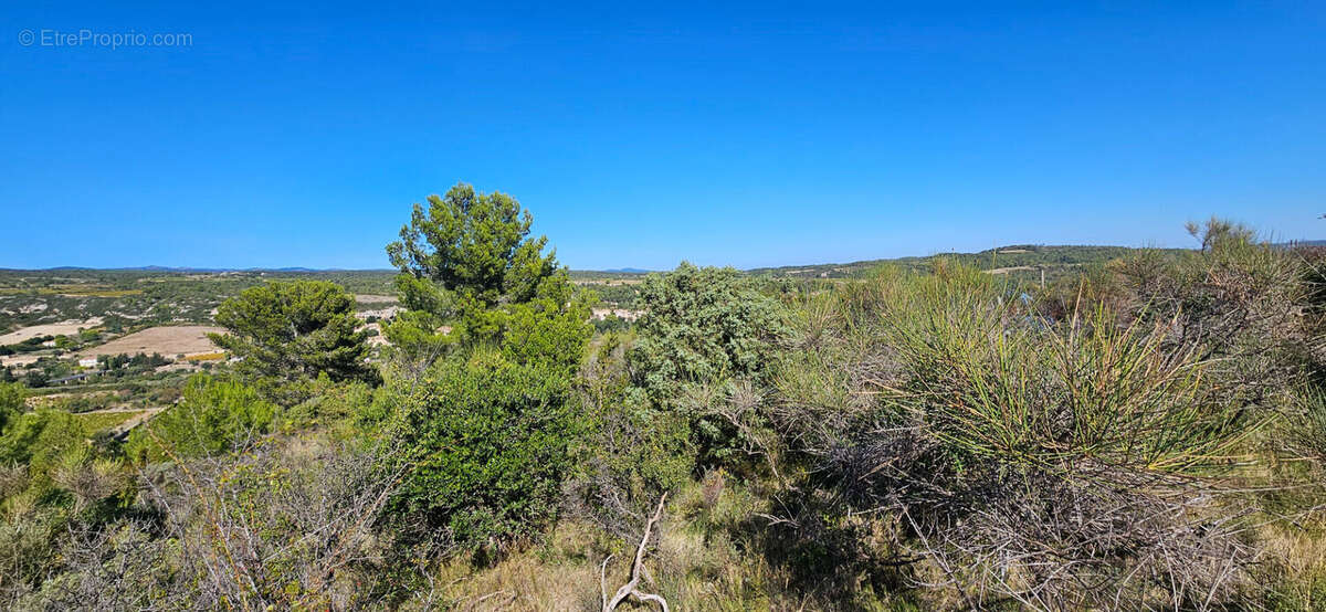 Terrain à LA CAUNETTE