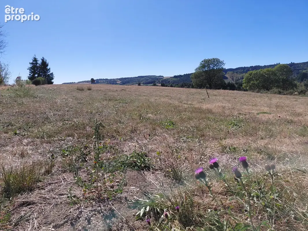 Terrain plat de 748 m² viabilisé ? Rozier-Côtes-d'Aurec - photo 3