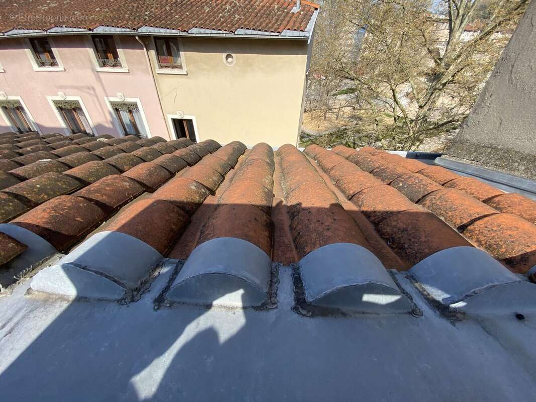 Appartement à VIENNE