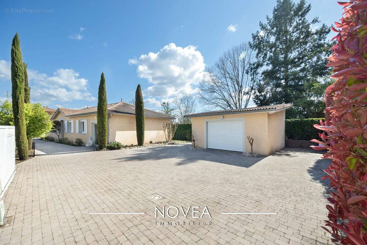 Maison à VILLIEU-LOYES-MOLLON