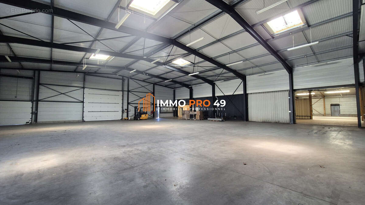 Commerce 3330 m² à Cholet  - photo 7