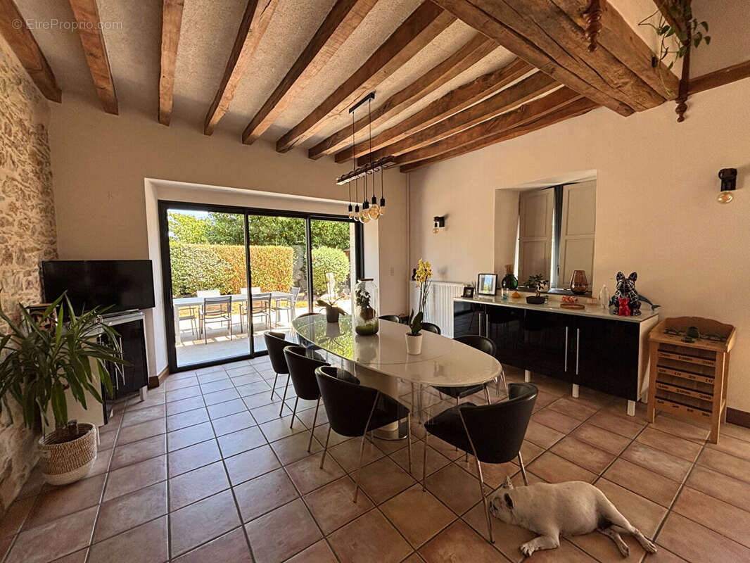 Segre en anjou bleu maison de 294 m² - photo 2