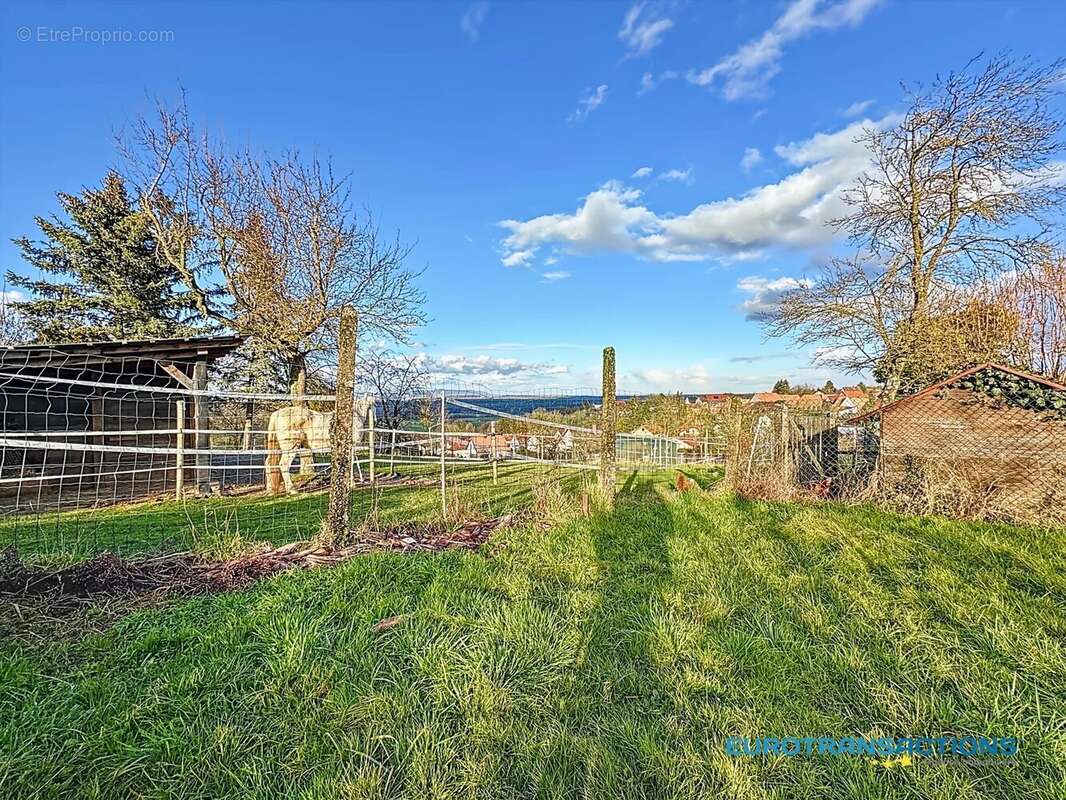 Terrain à DAUENDORF