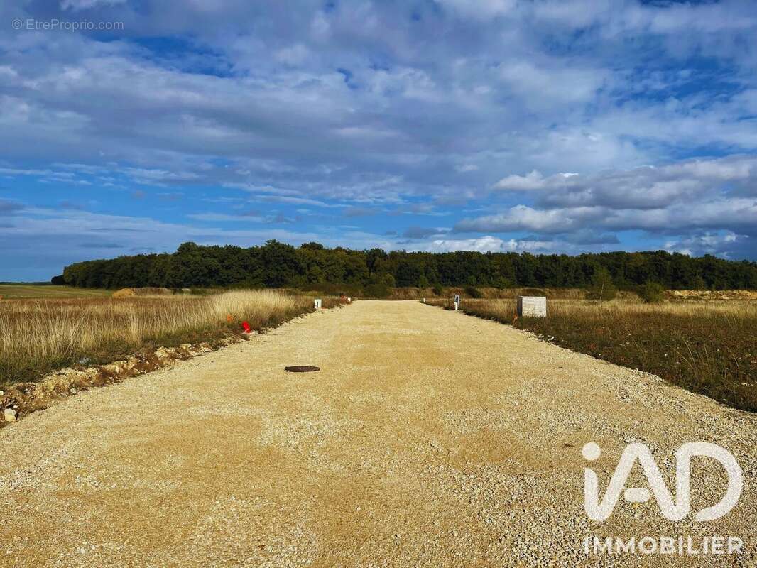 Terrain 923 m² à Saint-Florent-Sur-Cher  - photo 2