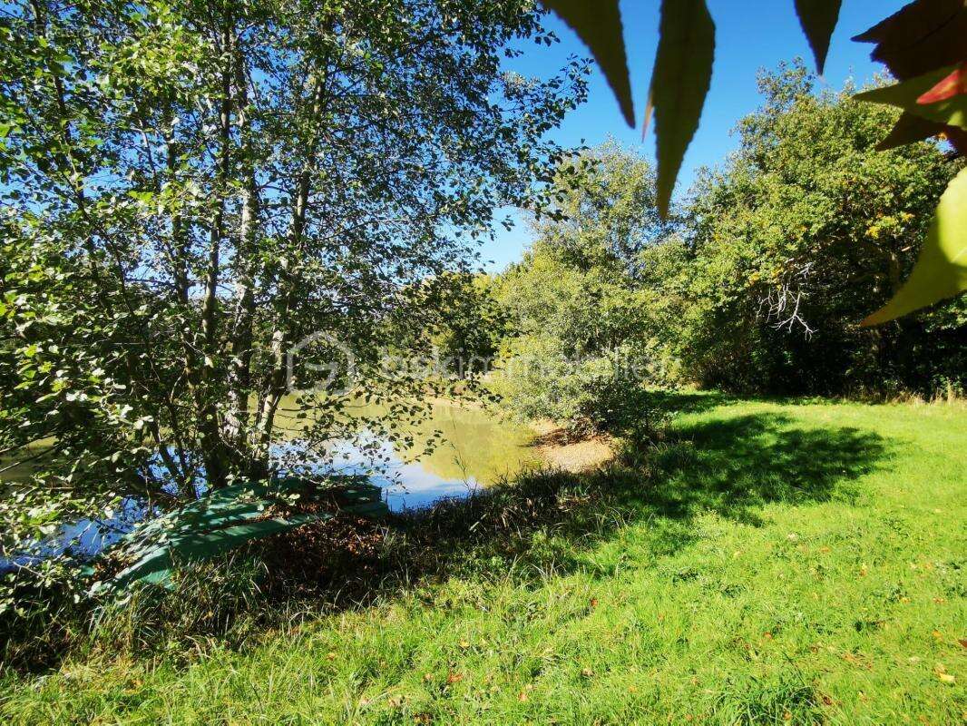 Terrain à SAINT-SAUVEUR-EN-PUISAYE
