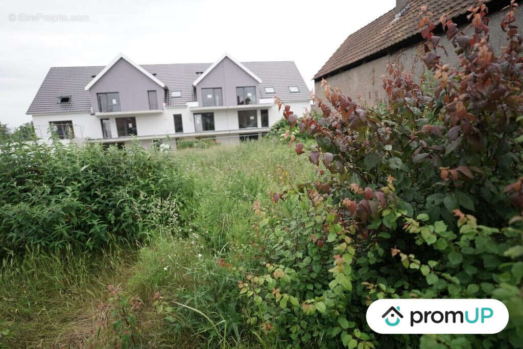 Terrain à HIRTZFELDEN