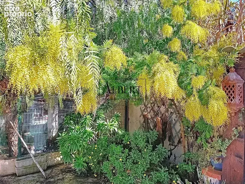 St paul de vence maison 5p piscine jardin - photo 13
