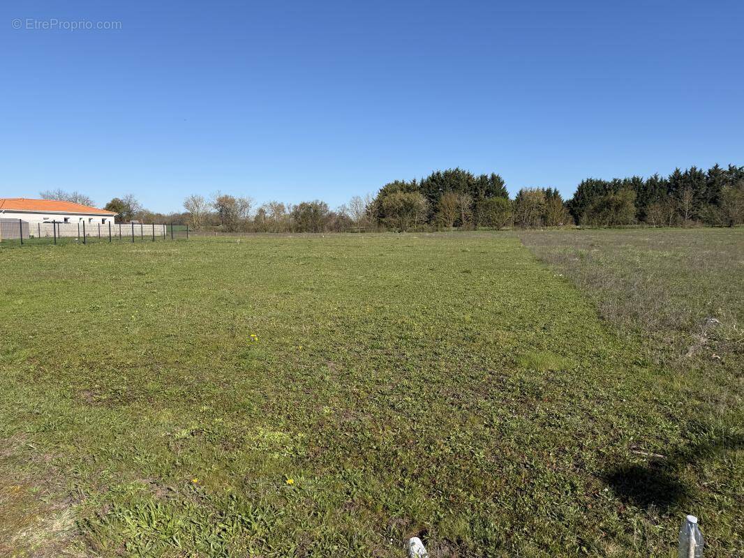 Terrain à SAINT-LAURE