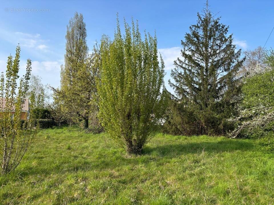 Terrain à LANTON