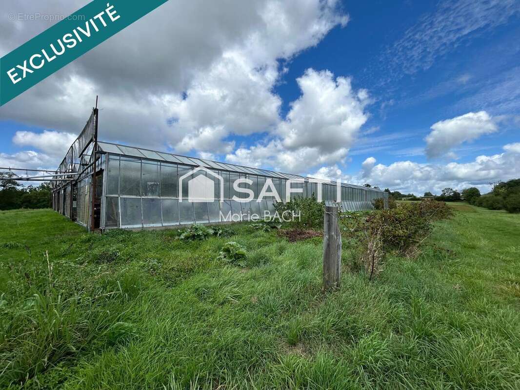 Photo 2 - Maison à SARRE-UNION