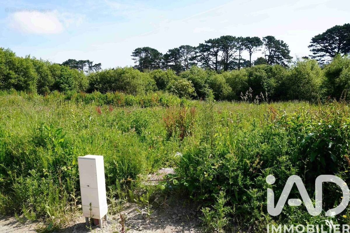 Photo 3 - Terrain à LESNEVEN