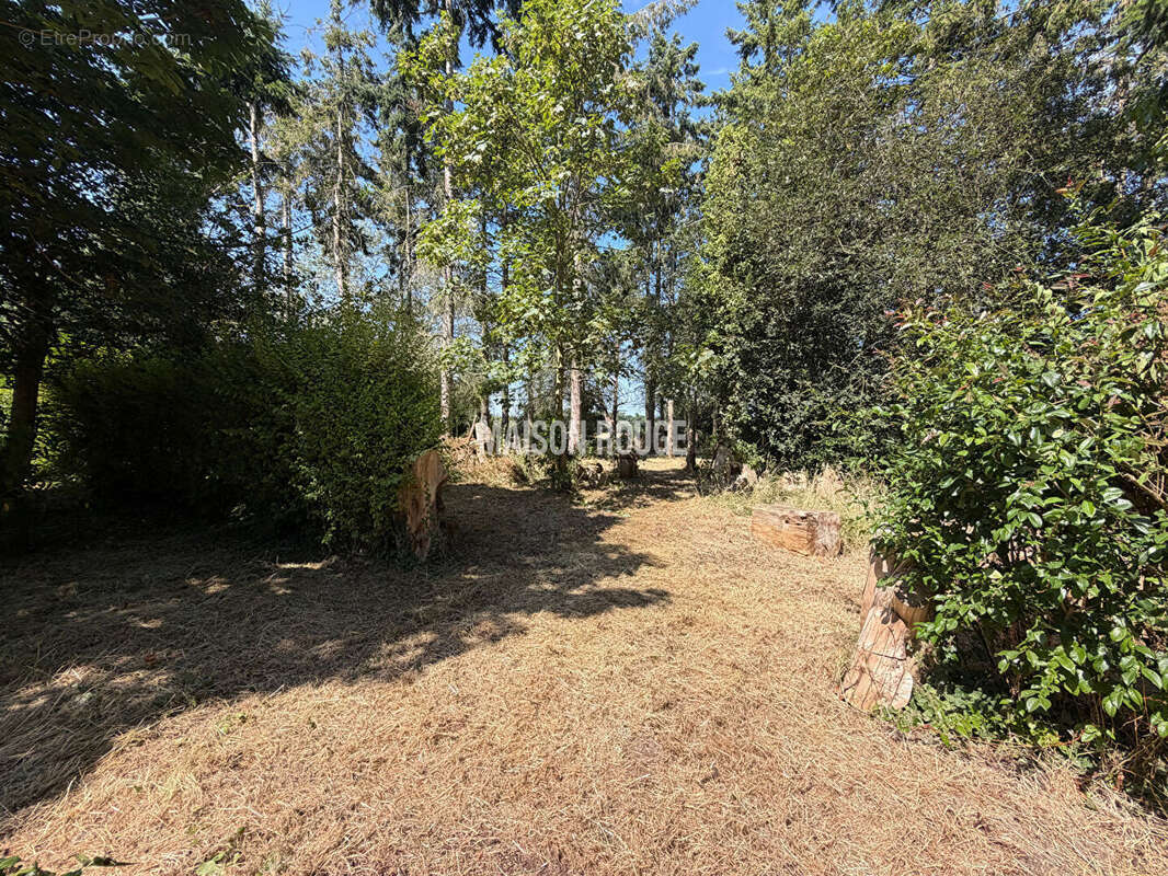 Maison familiale La Bouillie - 4 chambres, terrain arboré de 2720m², au calme - photo 14
