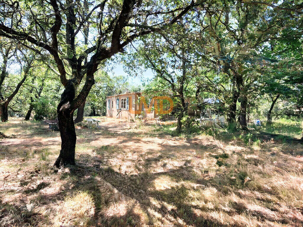 Figanières – Propriété autonome sur 1 hectare de nature - photo 3