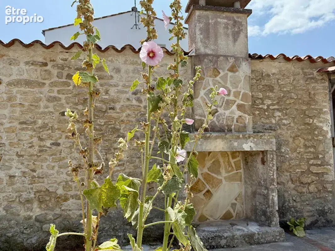 Maison au coeur du village de LOIX à 5 min de l'océan - 5 pièces de 121 m2 - photo 3