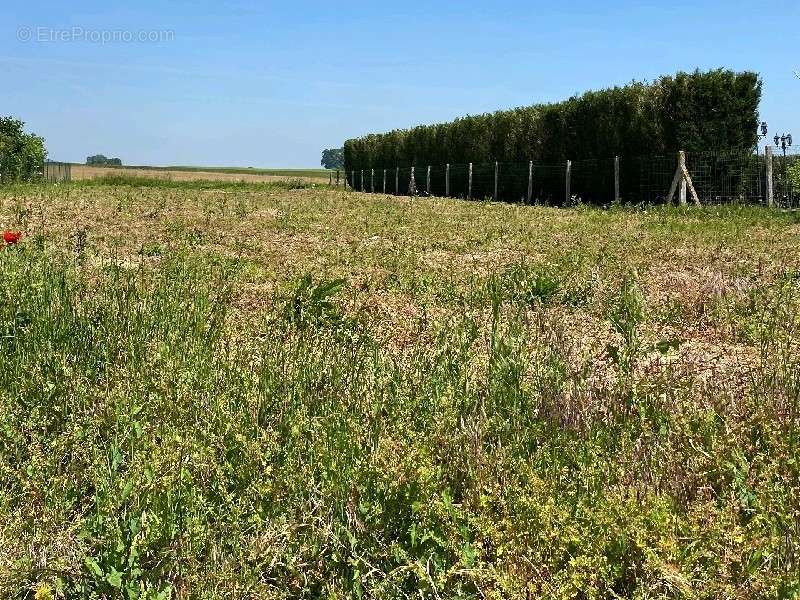 Terrain à RESSONS-SUR-MATZ