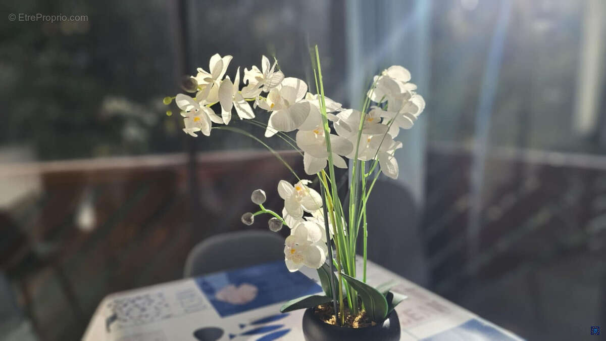 Appartement à SAINT-GEORGES-DE-DIDONNE