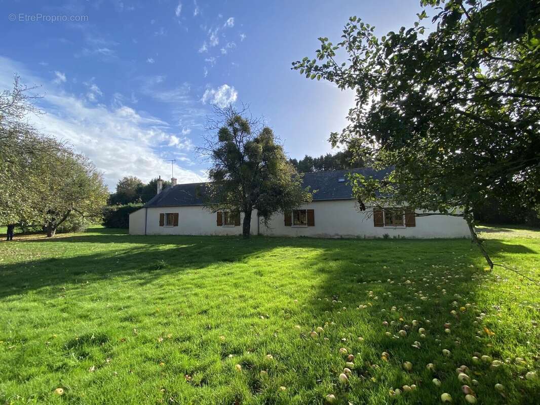 Maison à LE LION-D&#039;ANGERS