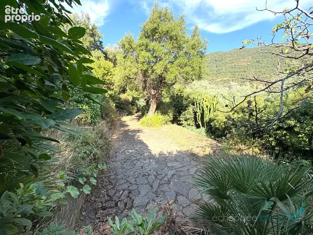 Vente appartement T2 à Cavalaire sur Mer - photo 9