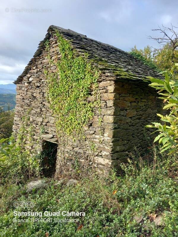 Terrain à SAINT-ETIENNE-VALLEE-FRANCAISE
