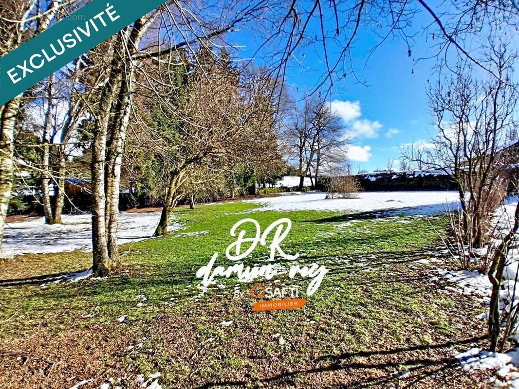 Maison 319 m² à Saint-Romain-Lachalm  - photo 5