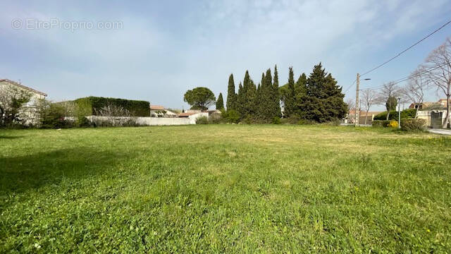 Terrain à ENTRAIGUES-SUR-LA-SORGUE