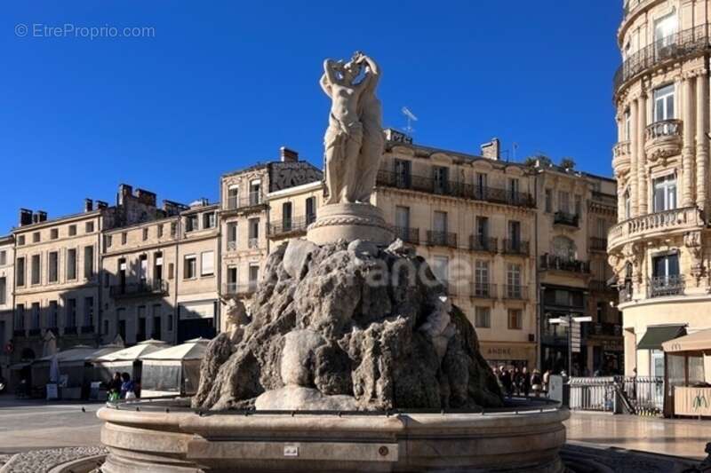 Commerce à MONTPELLIER