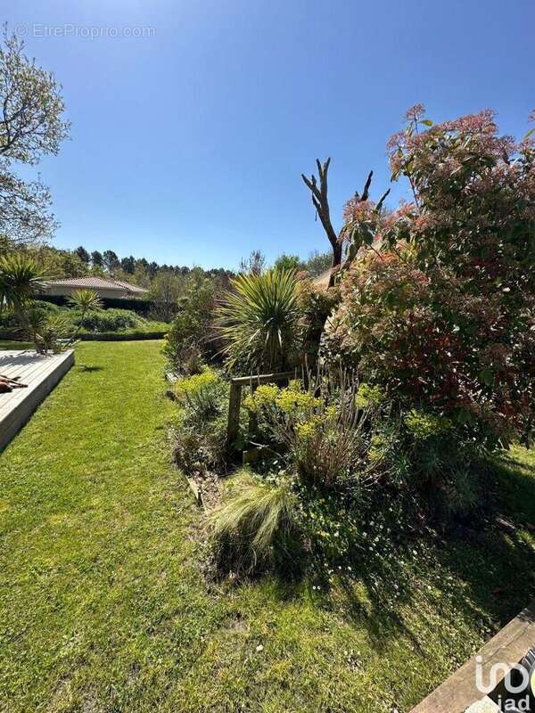 Photo 6 - Maison à GRAYAN-ET-L'HOPITAL