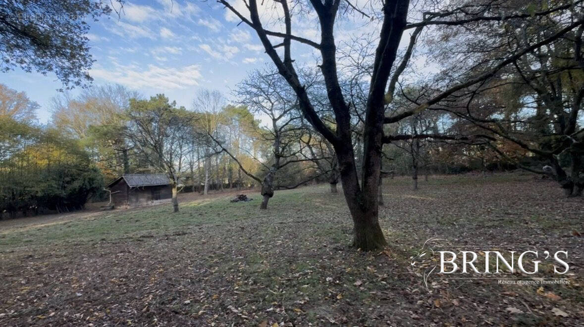 Terrain à CHATEAUBRIANT
