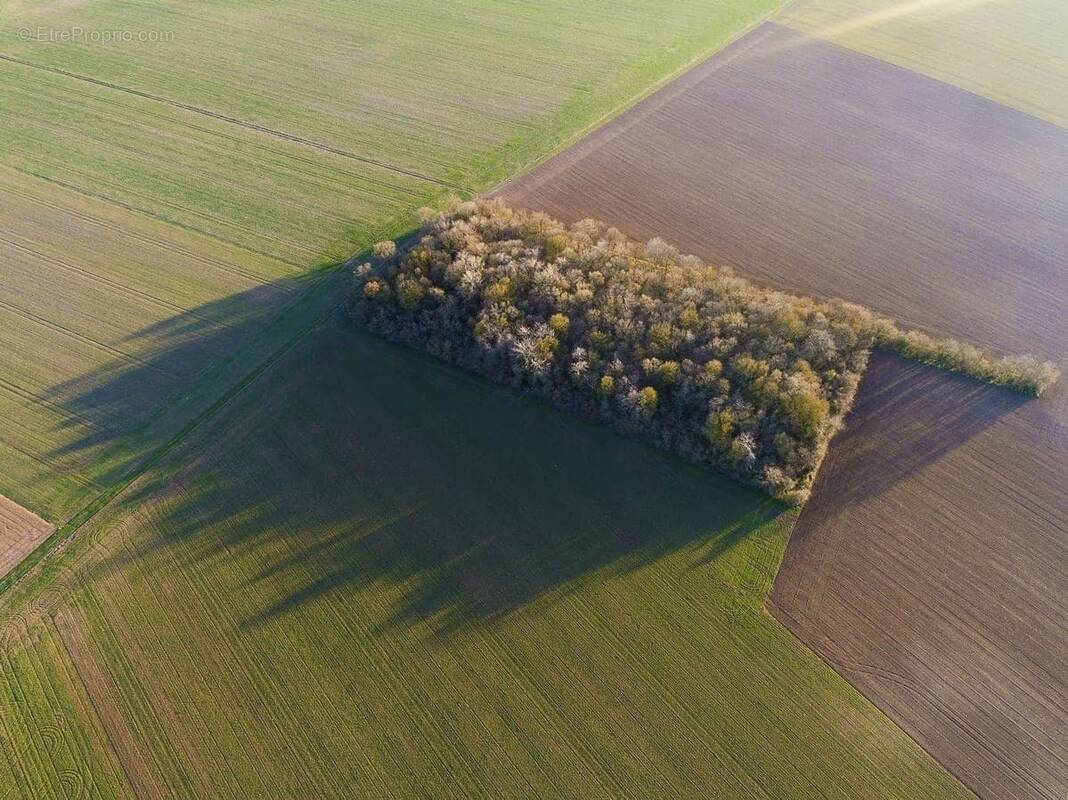 Terrain à SEGRE