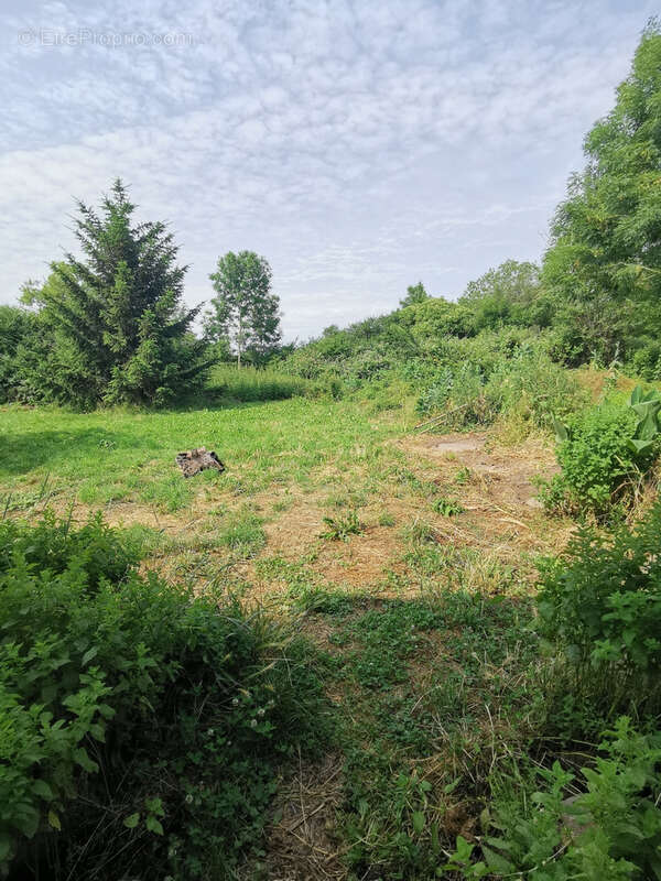 Maison à SAINT-PRIEST-EN-MURAT