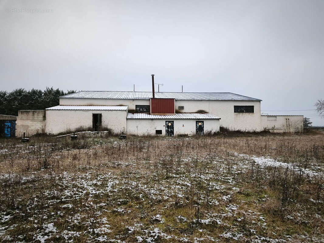 Commerce à LANGERON