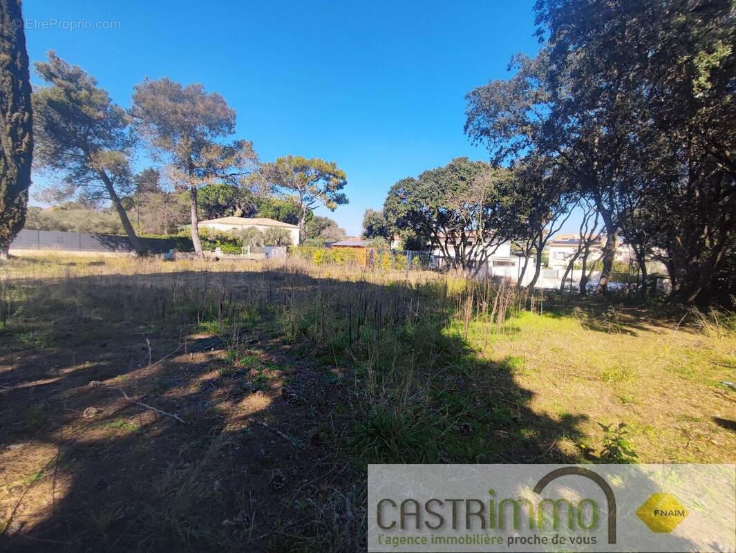 Terrain à CASTRIES