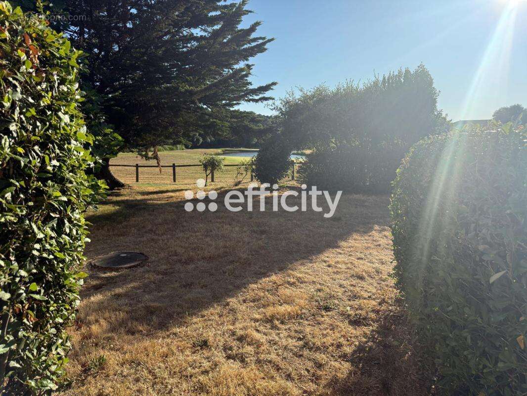 Appartement - photo 14