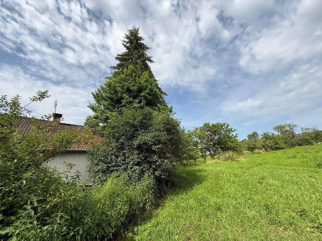 Grande ferme villageoise double indépendante à rénover – deux maisons, nombreuses dépendances, presque 1 hectare - photo 36