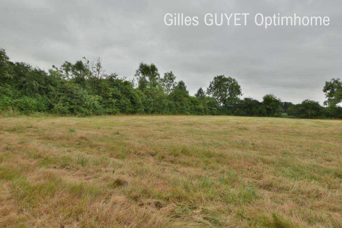 Terrain plat constructible de 5400M² 20MN de BERNAY, 35000€ - photo 2